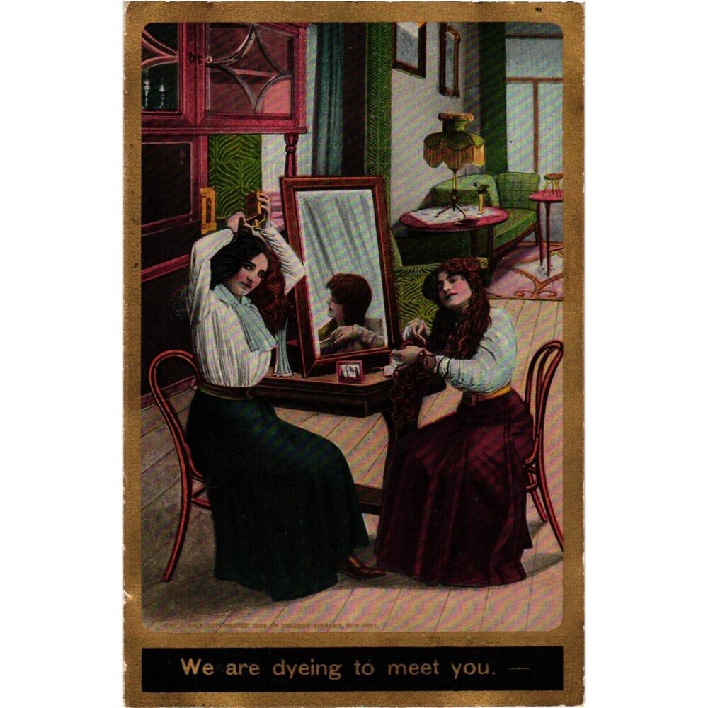 1909 We Are Dyeing To‎ Meet You Theochrom Comic Series 1131-53 Postcard Posted